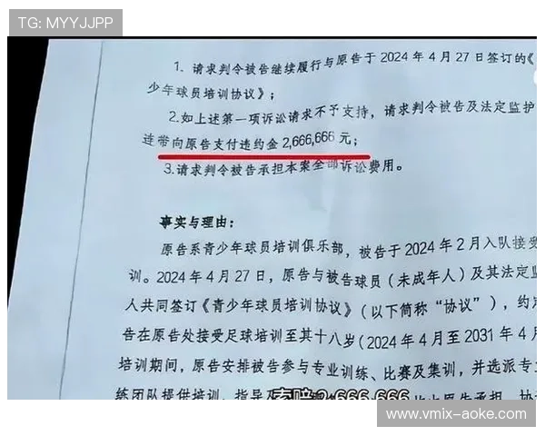 中国足协推出商务资源推介会，吸引投资助力青训